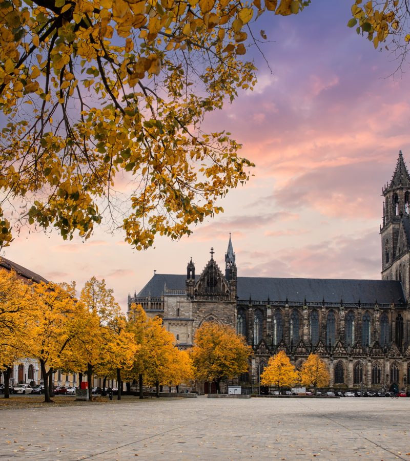 Gothische Kathedrale hinter goldenen Herbstbäumen, stimmungsvoll bei Sonnenuntergang - Symbol für würdige Abschiede.